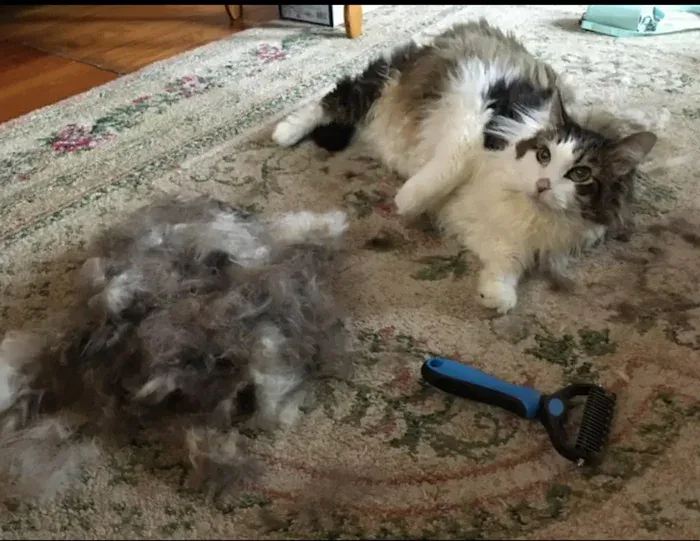 Customer Photo 1