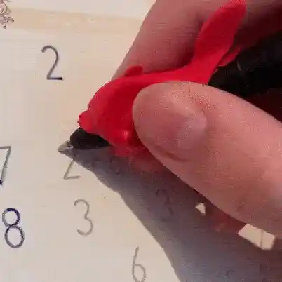 Reusable Copybook Set
