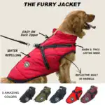 Waterproof Furry Jacket for Dogs of All Sizes - Image 3