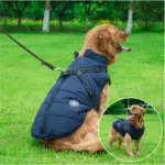 Waterproof Furry Jacket for Dogs of All Sizes - Image 11