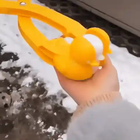 Snow Penguins and Ducks