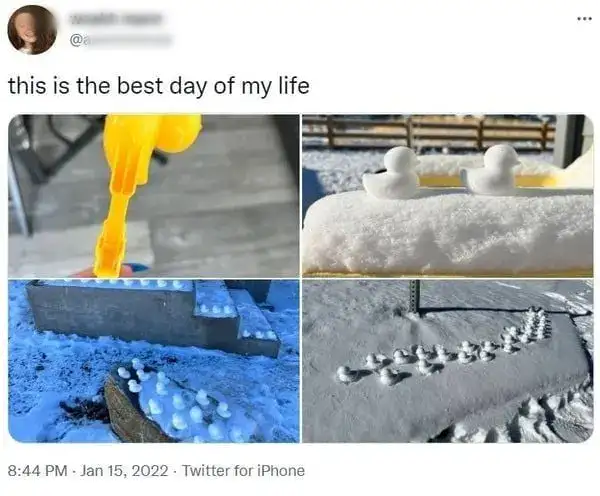 Viral Snow Ducks