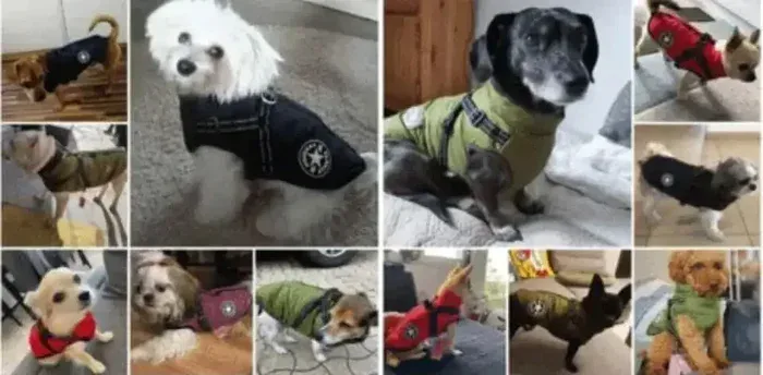 Satisfied Dog Owner