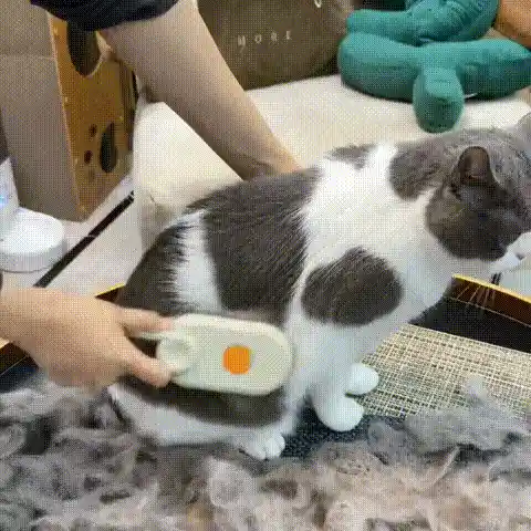 Nano Mist Brush